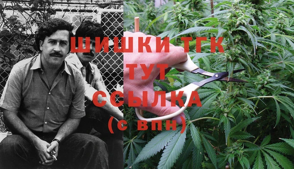 дурь Абинск