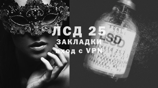 прущие грибы Михайловка