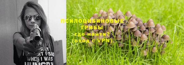 первитин Покачи